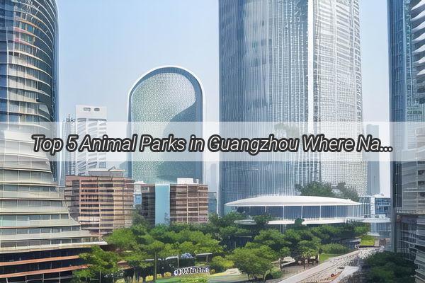 Top 5 Animal Parks in Guangzhou Where Nature Meets Fun